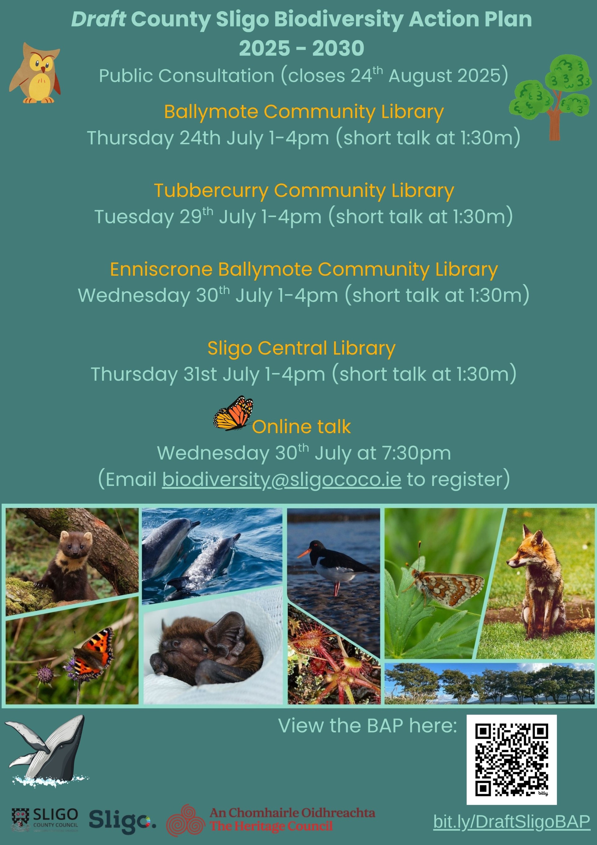 Draft Sligo BAP drop-in sessions poster 